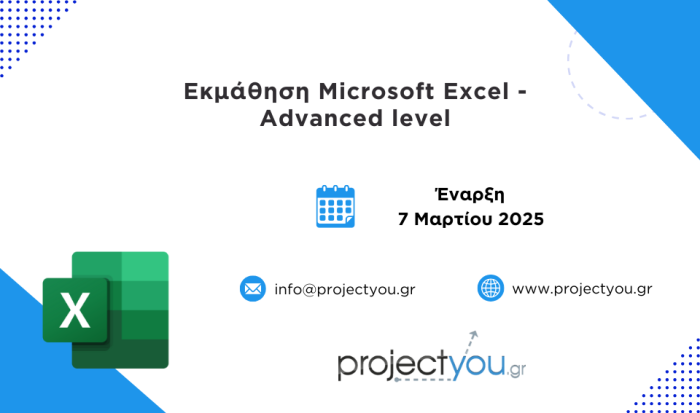 Microsoft Excel Advanced Level Projectyou